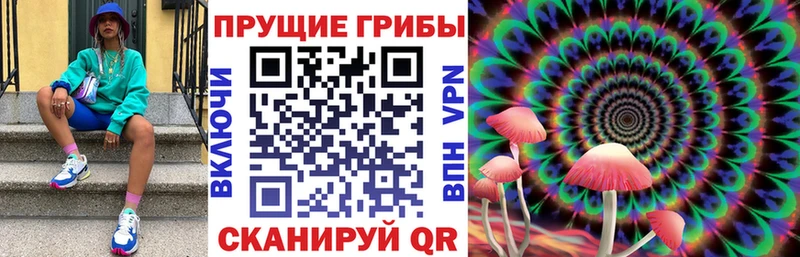 магазин    Трёхгорный  Галлюциногенные грибы Magic Shrooms 